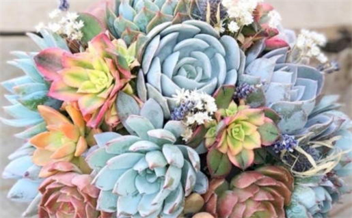 2026年02月20日是否属于领证吉日? 登记结婚行吗? 2026年02月20日是否属于领证吉日? 登记结婚行吗?