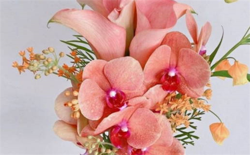 2026年03月12日领证吉利吗？ 今日登记领证好吗