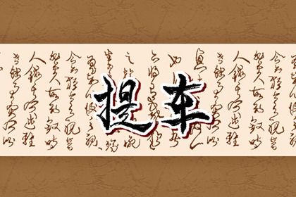2025年08月19日(农历闰六月廿六)提车合适吗 提新车适合吗？