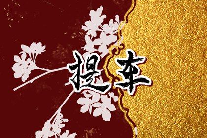 2026年03月01日(农历正月十三)提车是黄道吉日不? 今日提车行吗?