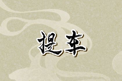 2025年12月29日(农历冬月初十)提车有没有问题？ 今天买新车行不行