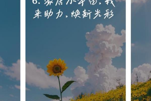 改名新风尚：如何改变五行格局，让你的运势焕然一新？