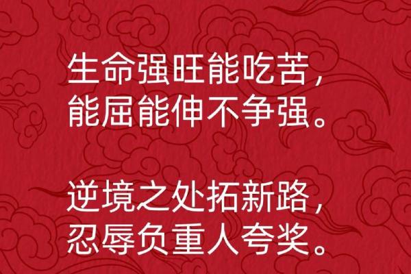性格解析的实用技巧：五行格局如何帮助你提升自我