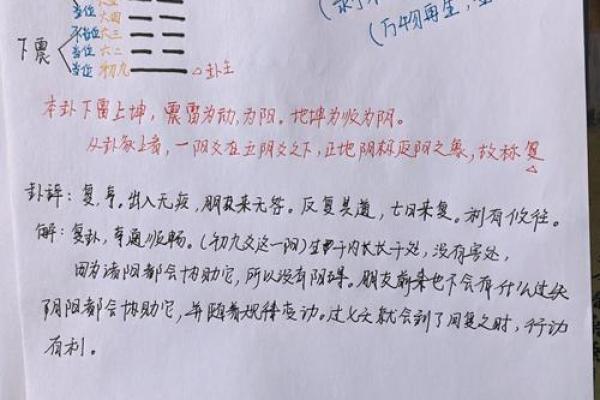 雷属五行格局颠覆传统：性格解析新视角，助你突破自我