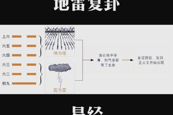 雷属五行格局颠覆传统：性格解析新视角，助你突破自我
