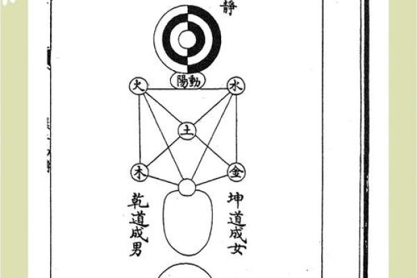 性格解析新视角：五行格局如何帮你找到事业与生活的平衡之道