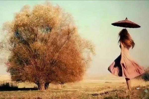 命运密码大揭秘：胡一鸣八字命理如何帮助你突破人生瓶颈