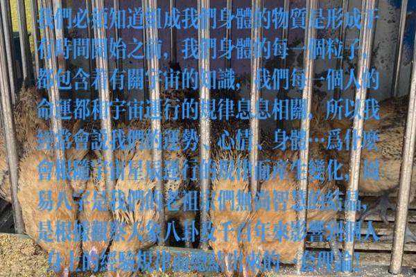 八字与考公务员的暗藏玄机，你的命运是否已经注定？
