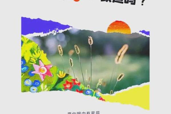 斗数命理的隐秘法则：改变命运的关键，是否就在你身边？