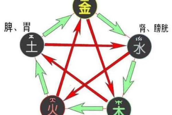 性格解析：太阳五行，你的内在力量何在？