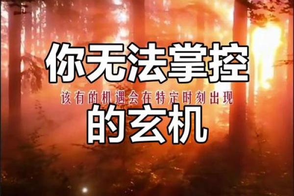 海中金命理中的暗藏玄机，你无法忽视的命运转折