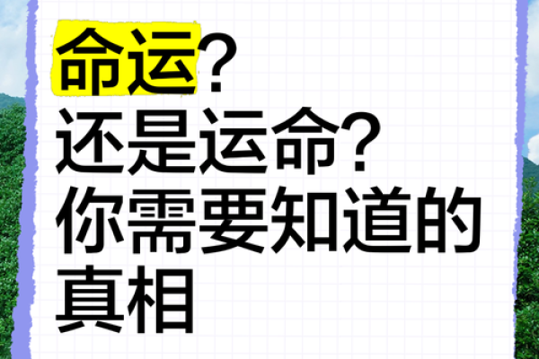 命运密码背后的真相：阿财命理颠覆你对八字的认知