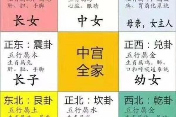 五行真龙性格解析：避开误区，走向成功的秘密武器