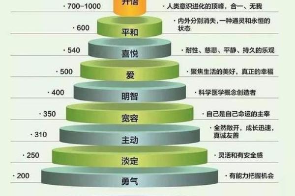 如何通过数解锁命运密码，破解命运中的暗藏玄机