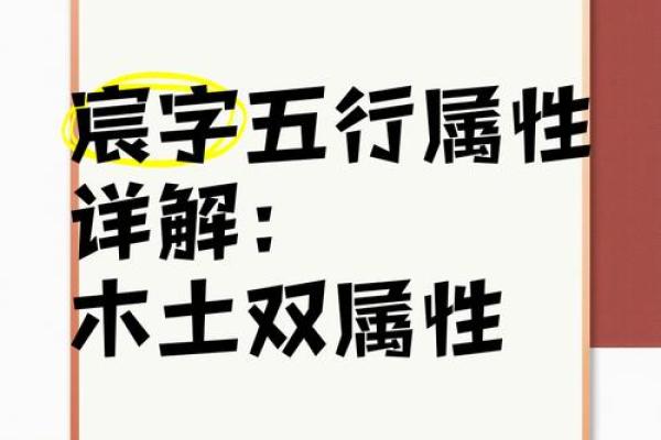 者字五行格局解析：如何通过五行改变性格弱点？