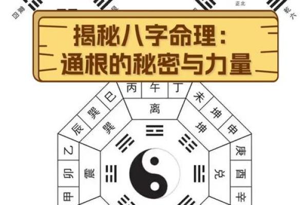 八字命理误区：这些隐藏的玄机你知道吗？