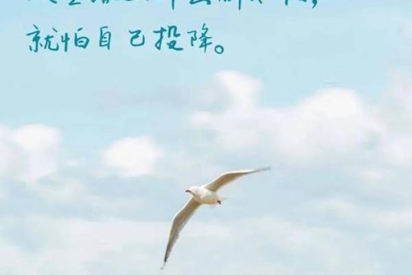 珊瑚之韵：五行格局下的性格格局，揭秘如何改变命运，实现人生飞跃