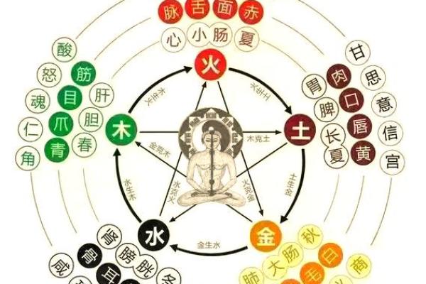颠覆传统五行观：子五行属揭示性格塑造的全新法则