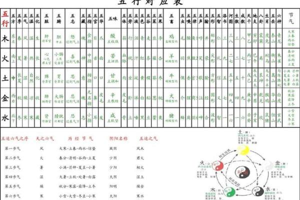 李的五行属性探秘：颠覆传统性格解析的误区