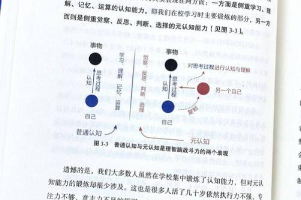 性格解析五行误区：走出认知盲点，解锁真实自我