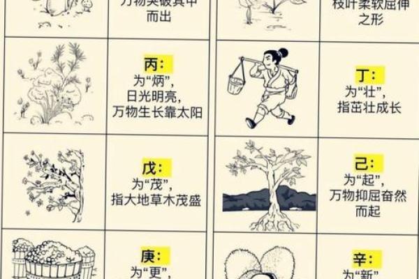 五行格局巧运用：轻松改善你的生活环境与人际关系