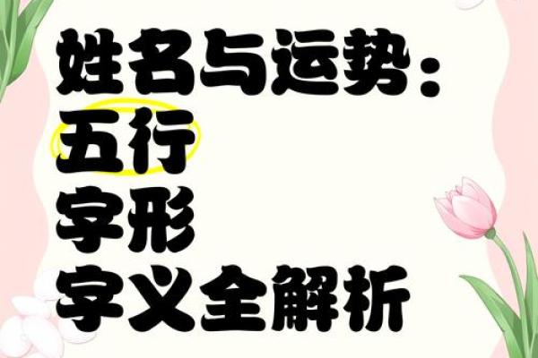 五行格局与娅字性格解析：避开这些误区，让你的运势更上一层楼