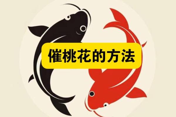 命理揭示：反而忽视这些桃花暗藏玄机的特征