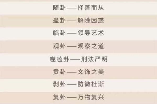 颠覆传统：尊字五行新解，原来可以这样改变命运
