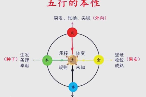 性格解析新视角：颠覆传统，五行格局如何影响人生？