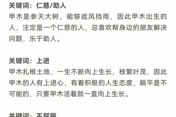 性格解析新视角：会字五行格局，如何洞悉你的潜能与弱点？