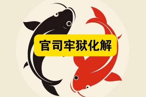 误区与真相：盲派命理反局揭示你错过的命运机会