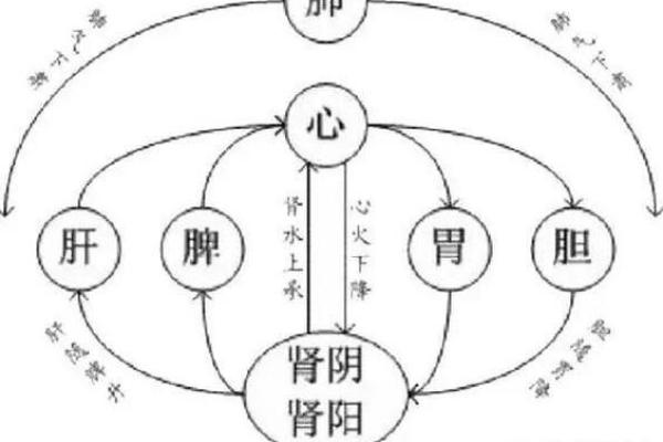 五行格局之脾：如何通过脾的五行特性解析你的性格