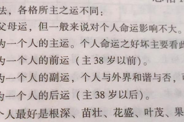 样烨命理：命运密码揭示，如何改变你的未来？