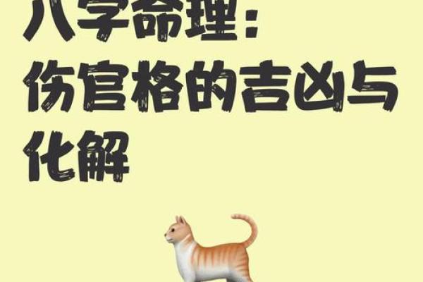 伤官八字的深层秘密，命运密码背后藏着哪些未解之谜？