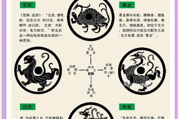 仕五行的神秘力量：颠覆传统，你的性格如何影响人生？