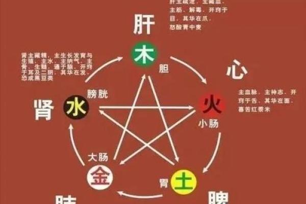 五行格局，你的性格隐藏着哪些秘密？
