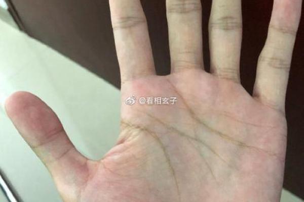 李治廷八字反而揭示：这些命理误区是如何影响他的选择的