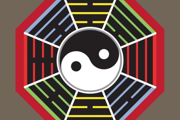 如何破解井柏然命运密码？八字命理背后的深层玄机