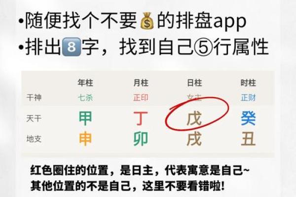 性格解析大揭秘：你以为的五行误区，可能完全颠覆你的认知