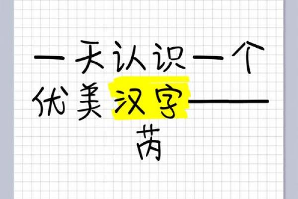 芮字五行误区大揭秘：颠覆传统性格解析观