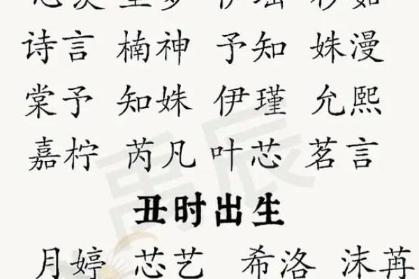 芮字五行误区大揭秘：颠覆传统性格解析观