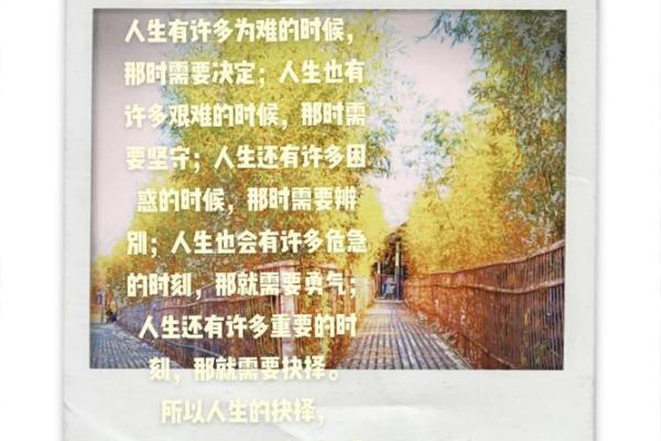 磊五行格局揭秘：性格解析如何影响人生抉择？