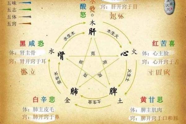 性格解析新视角：面馆五行属相，看透老板的运势秘密