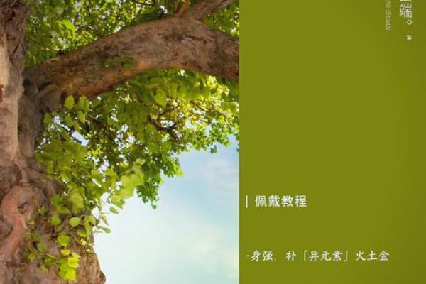 五行格局中的珊，性格重塑的秘密：颠覆传统，成就非凡