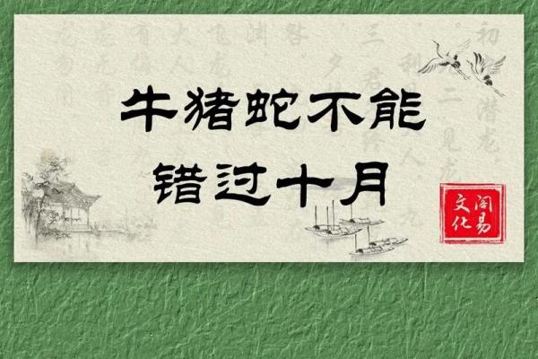 如何改变午时初命理带来的暗藏玄机？避免这些常见误区才能走向好运