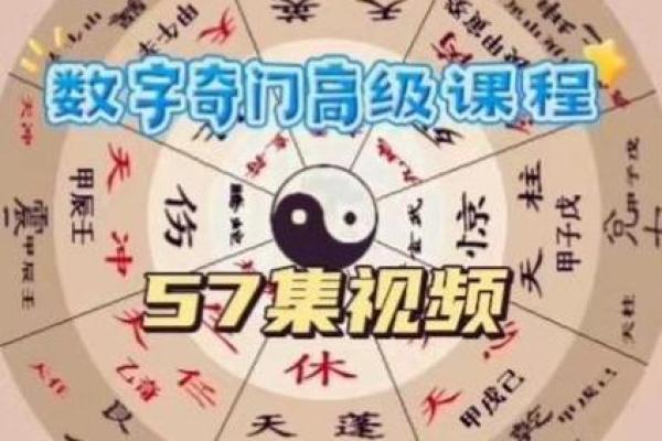 范晓萱命理深度解析，如何打破命运密码的束缚？
