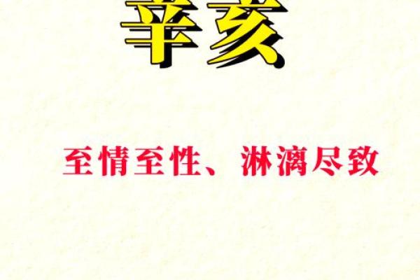 五行格局深度解析：辛亥如何影响你的生活选择？