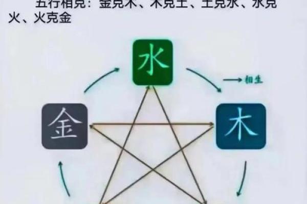 66年性格解析：五行格局影响下的独特人生轨迹