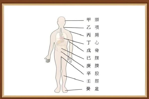 如何改变五行格局？解锁性格重塑的神奇密码