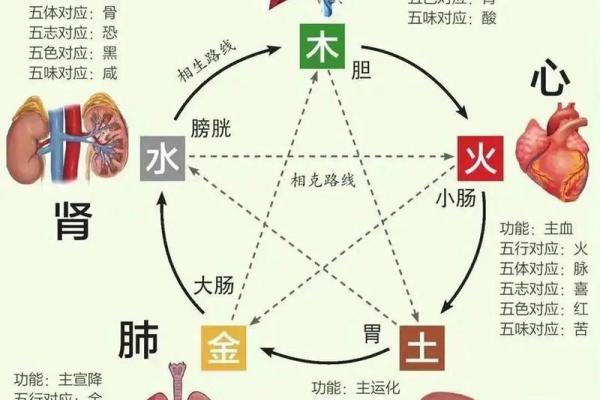 五行格局揭秘：水木之性如何影响你的性格解析？